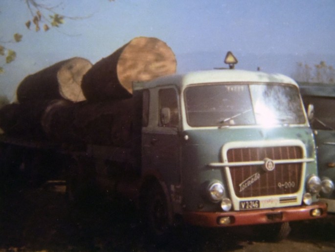 JP Mennel Transporte Archivfoto LKW mit Rundholzladung